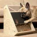 Dog Scratch Pad for Nails: Quiet Dog Scratch Board with Treats, Easy Change Dog Nail Board with 2Pcs Removable Stand, Interactive Paw Nail Scratcher & Slow Feeder Toy