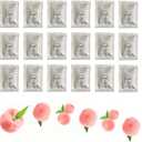 20 Pack Peach Flavor Car Air Vent Clip Freshener Refills Solid Fragrance Replacement Pads, Long Lasting Air Freshener for Car Accessories for Women Men