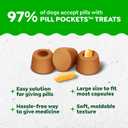 Greenies Pill Pockets for Dogs Large Size, Dog Treat Pouch for Capsule Medication, Peanut Butter Flavor, 15.8 oz. Pouch (EXP 06/26/27)