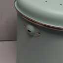 Kitchen Countertop Compost Bin, Odor Resistant Indoor Compost Bin with Lid and Charcoal Filter, Rust Resistant Coated Compost Bin, Compost Container, Mint (Medium)