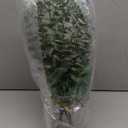 VIERENA 17.5" Artificial Eucalyptus Stems in Glass Vase with Faux Water,Fake Plant Eucalyptus Leaves White Seeds for Centerpiece Table Decorations Farmhouse Wedding Home Greenery Decor (Sage Green)