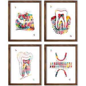 Watercolor Dental Anatomy Illustration Art Print Set for Dentist Office Reception Decor, Orthodontist Clinic Accent, Hygiene Room Motivation, Home Study Reference, Lab Inspiration Corner, Med Student Surprises, Aspiring Dentist Tokens, Hygienist Appreciation Gifts, Ortho Assistant Honors, Oral Surgeon Keepsakes, Graduation Markers, Parent Pride Souvenirs, Festival Smiles Tokens - 8x10 Unframed Print Set