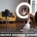 UBeesize 12'' LED Ring Light with 62'' Tripod Stand and Magnetic Phone Holder, Selfie Ring Light for Video Recording, Live Streaming, Compatible with iPhone & Android (Black)