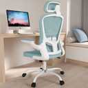 Office Chair, High Back Ergonomic Desk Chair, Breathable Mesh Desk Chair with Adjustable Lumbar Support and Headrest, Swivel Task Chair with flip-up Armrests, Executive Chair for Home Office (With Headrest, Light Blue)