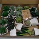 Tiita 20 Set Artificial Faux Succulents in Pots Fake Plants Plastic Arrangement Planter Small Mini Tiny Decoration for Home Office Desk Window Sill Bathroom Bedroom Outdoor Indoor