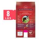 Purina ONE Natural Dry Dog Food; SmartBlend Small Bites Beef & Rice Formula - 8 lb. Bag