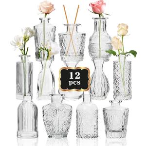RUCKAE Small Clear Bud Vases Bulk 12 Pack Mini Flower Glass Vases for Centerpiece Table Wedding Decorations Home Decor Party(Transparent)