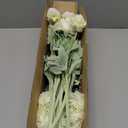 Artificial Flowers White Peonies 20pcs 60Heads Bouquet Fake Peonies Artificial Ranunculus Flowers for Indoor Faux Floral Arrangements Home Table Kitchen Wedding Party Farmhouse Decor