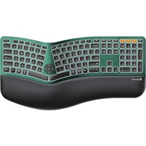 ProtoArc Backlit Bluetooth Ergonomic Keyboard, EK01 Plus Full Size Wireless Split Keyboard with Dual Bluetooth and USB, Cushioned Wrist Rest, Rechargeable, Compatible with Windows/Mac/Android, Green