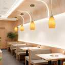 Viinew Mini Glass Pendant Light 4.72" Walnut Wood Grain Pendant Lights 1-Pack Handblown Art Oval Glass Hanging Pendant Light for Kitchen Island Dining Room Living Foyer Hallway Entry Brushed Gold