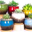 ARTKETTY Succulent Pots - 4 Inch Ceramic Succulent Planters with Drainage Tray Set of 4, Small Cactus Pots for Indoor Plants Colorful Flower Plant Pots for Desk Windowsill (Blue/Green/Red/White/Yellow/Light Blue)
