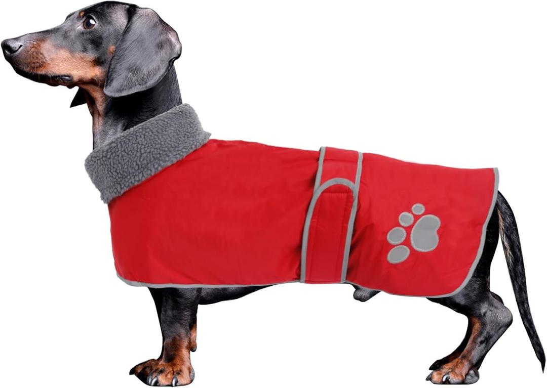 Dog Winter Coat Thermal Quilted Dachshund Coat,with Warm Flannel Lining,Geyecete Waterproof Outdoor Dog Apparel with Adjustable Bands for Small, Medium, Large Dog-Red-M