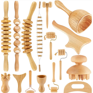 16-in-1 Wood Therapy Massage Tools Set Maderoterapia Kit Therapy Tools for Body Sculpting Muscle Pain Relief Lymphatic Drainage Women Face Wood Roller Fascia Massage