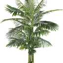 Artificial Areca Palm Tree 6ft Tall, Realistic Fake Plant, Suitable for Indoor and Outdoor Settings, Housewarming Gift