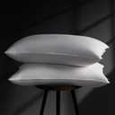 DOWNSTORIA Goose Down Pillows Queen Size Set of 2, Hotel Collection Bed Pillow for Sleeping, 2 Pack, Feather Down Surrounded Medium Firm Pillows for Side Back Sleepers 20 x 30 in.