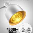 Heat Lamp for Food, Upgrade 250W Bulb x 3 - Each Lasting Over 4000 Hours, Food Heat Lamp with Flexible Arm, Catering Food Warmers for Buffet, Parties, Fast Food, Bakery (Silver) (Double-Head)