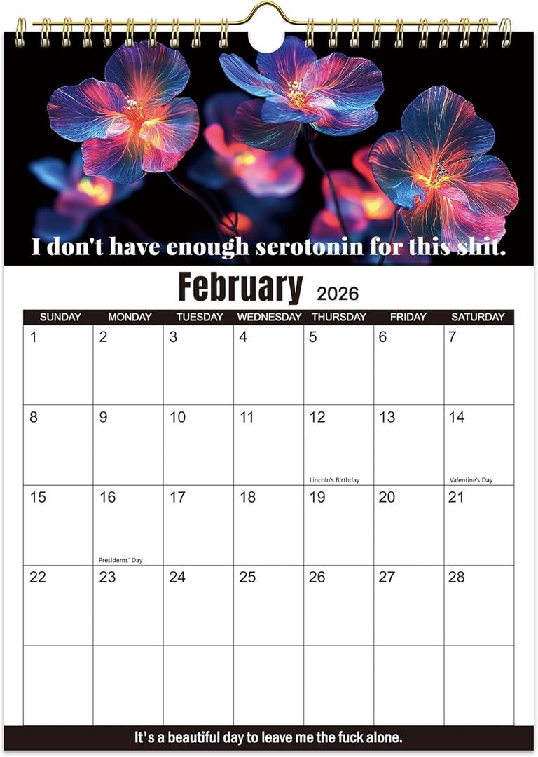 3 x Fuck It 2026 Calendar for Tired Women, Funny Swear Wall Calendars, Humor Hanging Planner Monthly for Home Office, Christmas Funny Swear Word Gag Gift (Black)