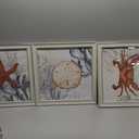 New View Ava Barrett Coastal Coral Framed Wall Art 3 Pcs