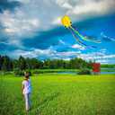 Flying Hoofer Large Octopus Kites(2packs) for Kids and Adults - Easy to Fly, 28X158 3D Software Colorful Kite with Long Tails. Perfect for Beach and Outdoor Activities.(Blue and Yellow)