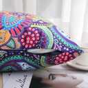 hyha Paisley Throw Pillow Covers 20x20 Inch, Set of 2 Printed Velvet Couch Pillows, Floral Pattern Decorative Pillow Covers, Multicolor Boho Pillow Covers for Bed Couch,(20x20, Paisley Floral)