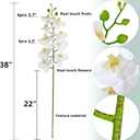 Htmeing 38 Inch Artificial Phalaenopsis Flowers Branches Real Touch (Not Silk) Orchids Flowers for Home Office Wedding Decoration,Pack of 2 (White)
