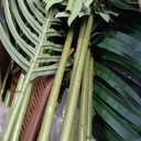 HAIHONG 4.5FT 2Packs Artificial Palm Tree,Faux Areca Palm Plant with Real Touch Leaves and Adjustable Branches,Fake Tropical Palm Tree for Home Office Indoor Outdoor Modern Decoration
