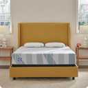 Sealy Dreamlife 10 Hybrid Mattress-in-a-Box, Queen, Sealy Comfort Gel Memory Foam, Sealy Responsive Encased Coils, Surface-Guard Technology