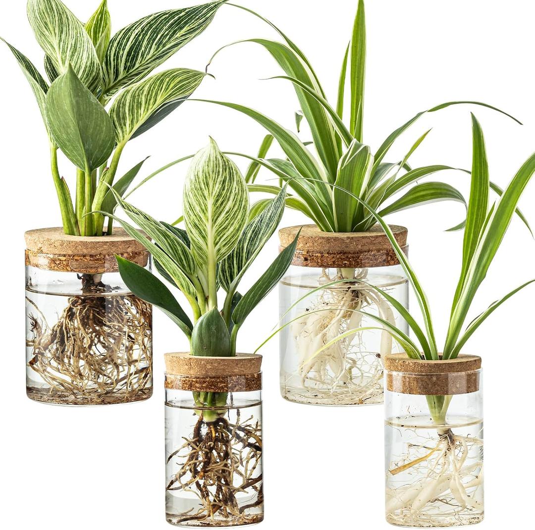 Glass Plant Propagation Stations for Plants Set of 4(2 Large & 2 Small) Hydroponic Vases for Plant Cuttings,Flower Arrangements, Home & Office DecorDesktop Vases for Living Room, Bedroom (4)
