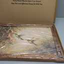 Vintage Hummingbird Wall Art, Ornate Gold Framed Floral Garden Print,, 16"L x 24"W