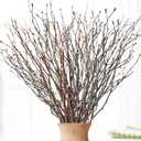 50Pcs Real Dried Birch Twigs - 17" Birch Sticks with Mini Easter Eggs for Easter Decor, 100% Natural Small Birch Branches for Easter Decorations, Centerpieces, Rustic Home Decor, DIY, Wreath