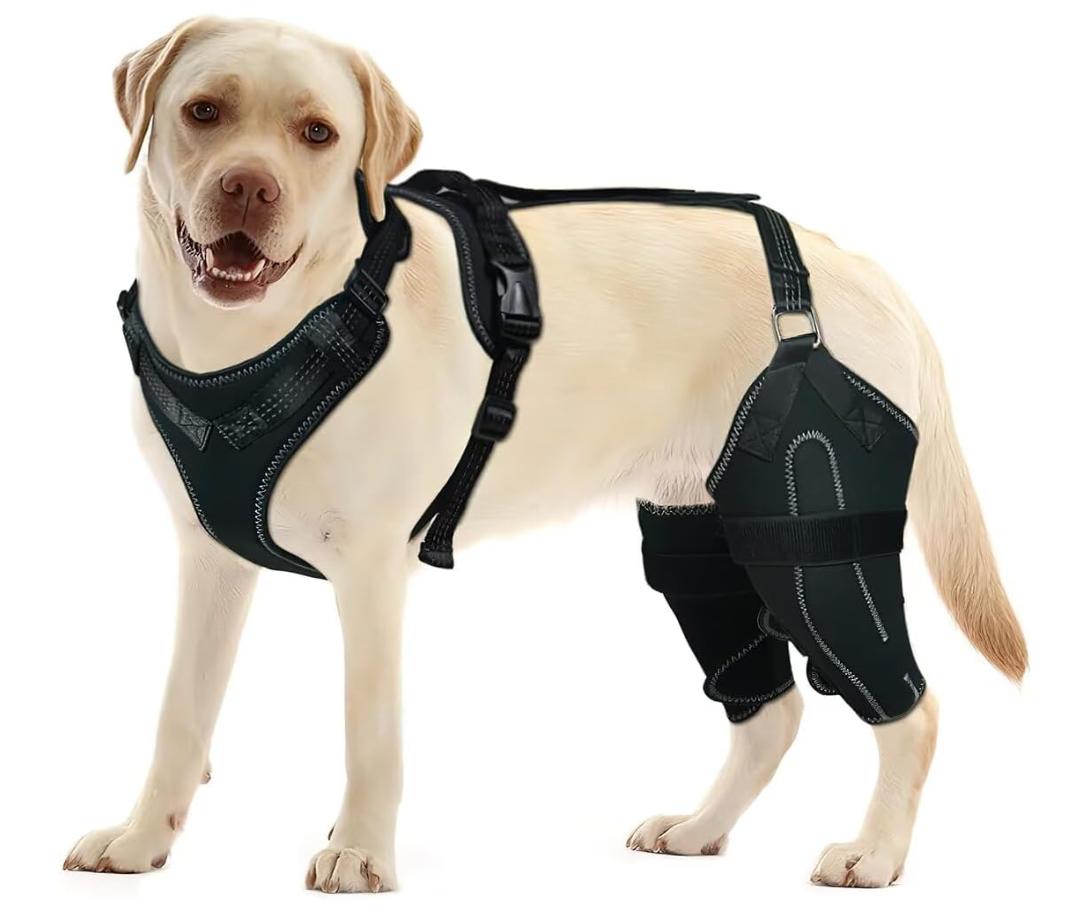 Dog Knee Brace for Torn ACL Hind Leg with 4 Metal Stabilizers Helps with Torn CCL, Luxating Patella, XL