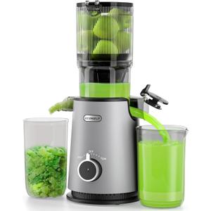 Cold Press Juicer, ECOSELF Juicer Machines with Large Feed Chute Fit Whole Fruits & Vegetables, Self Feeding for Juice Extractor Machine, Easy to Clean and Assemble, High Juice Yield (Light Gray)