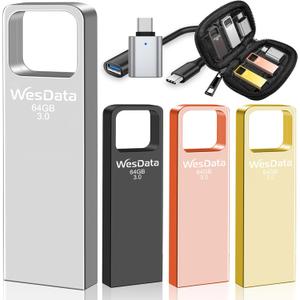 64GB USB 3.0 Flash Drive 4-Pack with USB C Adapters, Metal Mini Design, 100MB/s Read Speed, Storage Case Included, Pink Gold Gray Silver