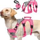 PUPTECK Escape Proof Dog Harness and Leash Set Upgraded No Pull Reflective Dog Vest with Lift Handle, Easy Control Pet Harness for Medium Large Dogs Training Walking Running, Fuchsia, L