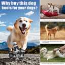 Dog Shoes, Otunrues Dog Shoes for Small Medium Large Dogs, Anti-Slip Dog Boot with Reflective, Waterproof Dog Booties & Paw Protectors for Winter Snowy Hot Pavement Day (Black, L)