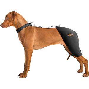 Dog Hip Brace with Hot/Cold Compress, Support for Hip Dysplasia, Arthritis, Back Leg limping, Prevents Hip Joint Issues, Reduce Hip Pain (Male Dog, XXL)