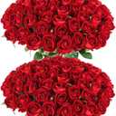 60 Pcs Artificial Roses Bulk Velvet Silk Red Rose Burgundy Roses for Wedding Centerpieces Bridal Bouquet Mohter's Day Valentine's Day Christmas Home Decor (60, Burgundy)