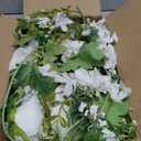 DearHouse 2Pack Artificial Peony Flower Garland - Silk Peony Garland with White Flowers for Wedding Party Table Decoration,6ft/Strand