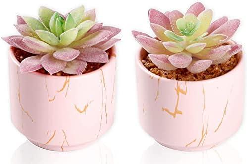 Zenmag Fake Succulents, Mini Succulents Plants Artificial in Pink Ceramic Pots for Desk Livingroom Bathroom and Home Decoration Office Decor for Women Set of 2 Artificial Succulents