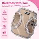 Petank Dog Harness for Small Medium Dogs No Pull, Puppy Harness and Leash Set for Walking, Running, Training, Small Dog Harness, Medium Dog Harness (Brown, Small)