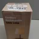 Outdoor Table Lamp/Cordless USB Rechargeable 4000mAh / 2700K LED/Touch Dimmable/Portable Battery Operated / IP44 Waterproof/PE Shade/Bedroom Dinning Camping Patio (Gold, 9.6in)