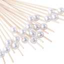 Cocktail Picks for Appetizers, Toothpicks for Appetizers, 100PCS White Cocktail Toothpicks for Drinks, Appetizer Skewers for Charcuterie Cups Board