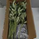 Olive Tree, 6FT Tall Faux Olive Tree with Moss and Planter, Olive Trees Artificial Indoor with Realistic Wood Trunk and Lifelike Fruits, Fake Tree for Home Office Living Room Decor (5ft 10in)