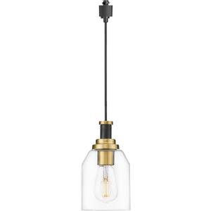 zeyu H Type Track Lighting Pendant, Farmhouse 1-Light Black Ceiling Track Hanging Light Fixturs for Dining Room Bedroom, Clear Glass Shade, Black and Gold Finish, ZG33TP BK+BG