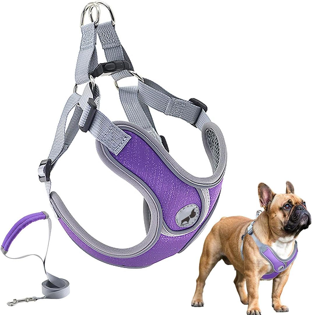 Dog Harness with Leash Set, Adjustable Step in Collars Harness with Breathable Padded Vest for Medium Dogs Training and Running (M, Purple)