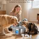 Dog Water Fountain for Large Dogs: Stainless Steel Dog Fountain Water Bowl - 3.2Gal/406oz/12L Super Quiet Big Cat Water Fountain with Visual Water Level -Great for Large Dogs Cats and Multi-Pet Home