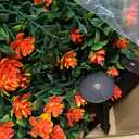 Yunlly Set of 2 Artificial Boxwood Topiary Ball Tree Fake Bushes Shrubs Outdoor Faux Plant with Ground Spike Flowers UV Resistance Greenery for Front Porch Garden Patio Indoor(Orange,27x18inch)