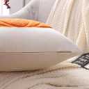 LUOYEHK Halloween Throw Pillow Covers 18x18 Set of 2 Orange Pumpkin Embroidered Pillow Cases Holiday Thanksgiving Velvet Cushion Covers for Couch Sofa Bed