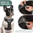 BUMBIN Tactical Dog Harness for Small Dogs No Pull, Famous TIK Tok No Pull Puppy Harness, Fit Smart Reflective Pet Walking Harness for Training, Adjustable Dog Vest Harness with Handle Black S(Neck:13-16", Chest:15-23")