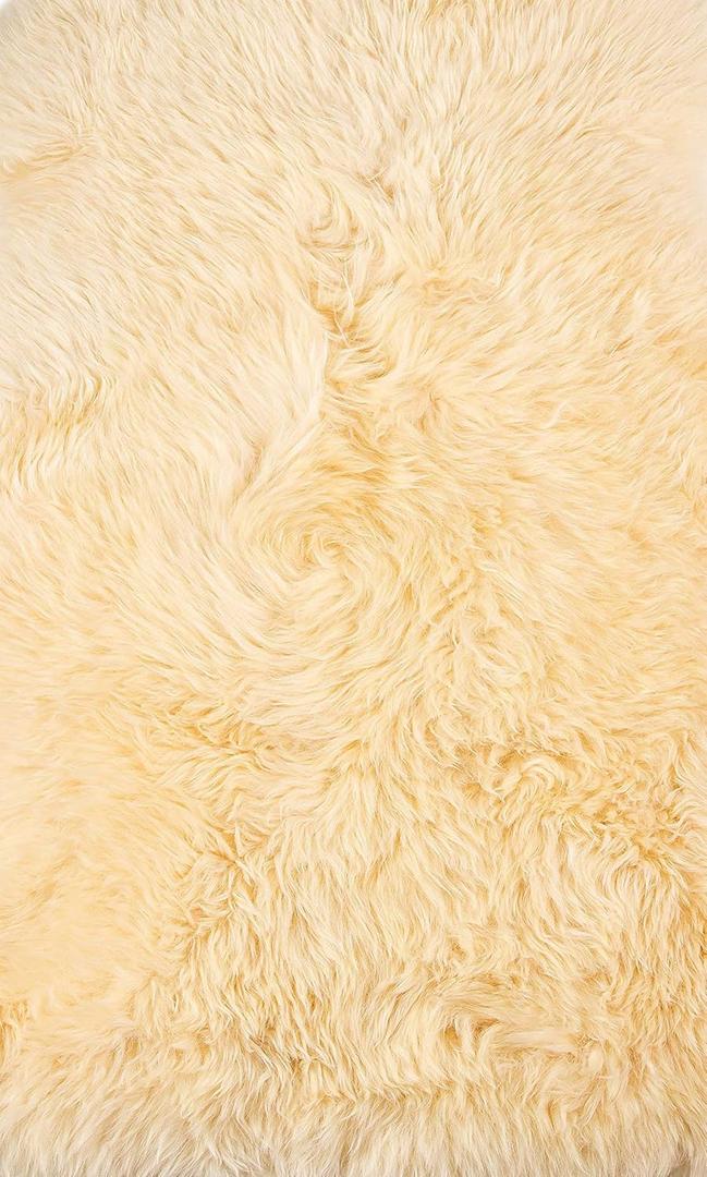 HomeRoots 2' X 3' Cream New Zealand Natural Sheepskin Rug